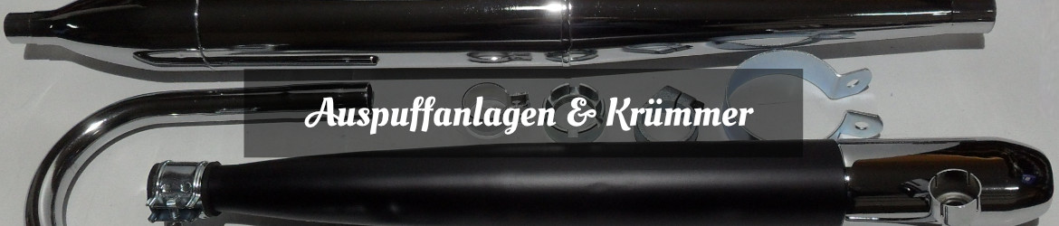 Auspuffanlagen  und Krümmer