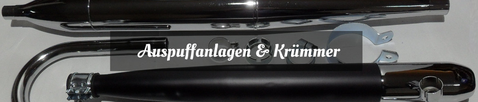 Auspuffanlagen  und Krümmer