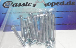 Hercules Prima Motor Block Schrauben Sachs 505 504 KTM NEU - Classic-Moped